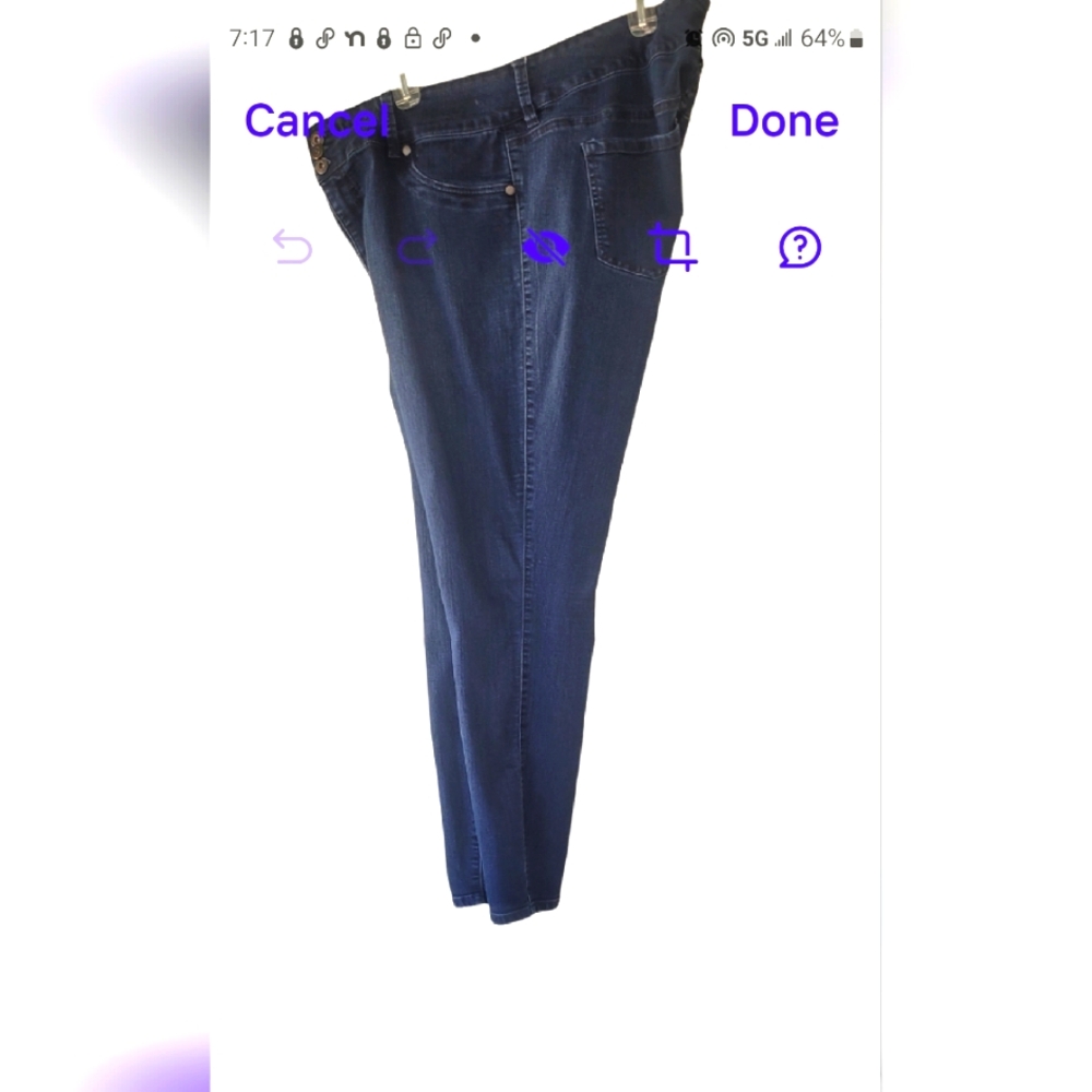 Torrid Denim 22T Skinny Jeans